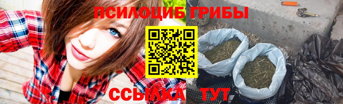 Псилоцибиновые грибы Psilocybe Белореченск