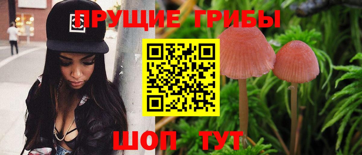 Белореченск  Галлюциногенные грибы Magic Shrooms  Вход с VPN  Псилоцибиновые грибы мицелий 